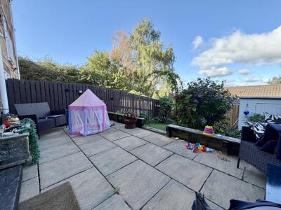 Picture 21